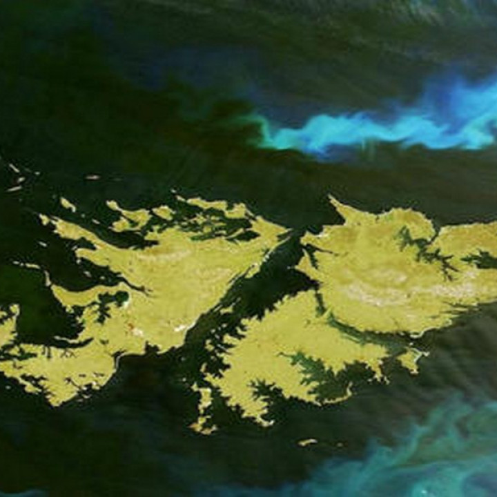 El hallazgo del siglo en las Islas Malvinas, que lo cambia todo!!! 