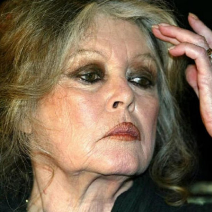 Brigitte Bardot, ícono de la belleza y leyenda del cine, murió a los 91 años