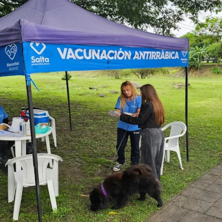 Municipalidad de Salta: Conoce el cronograma de vacunación antirrábica de la próxima semana