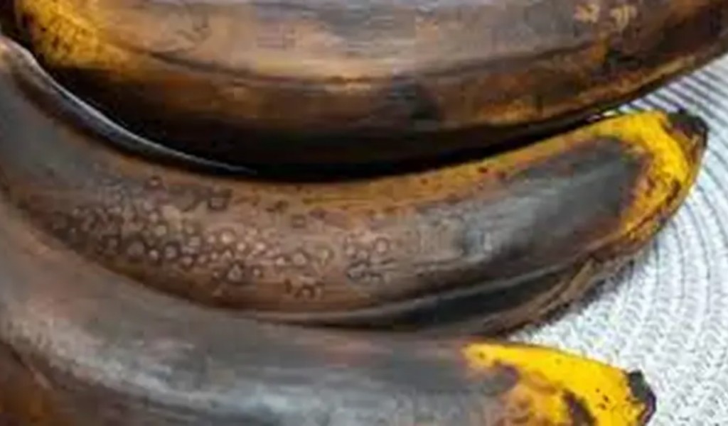 ¿Lo marrón de la banana se come o se tira? Esto dice la ciencia