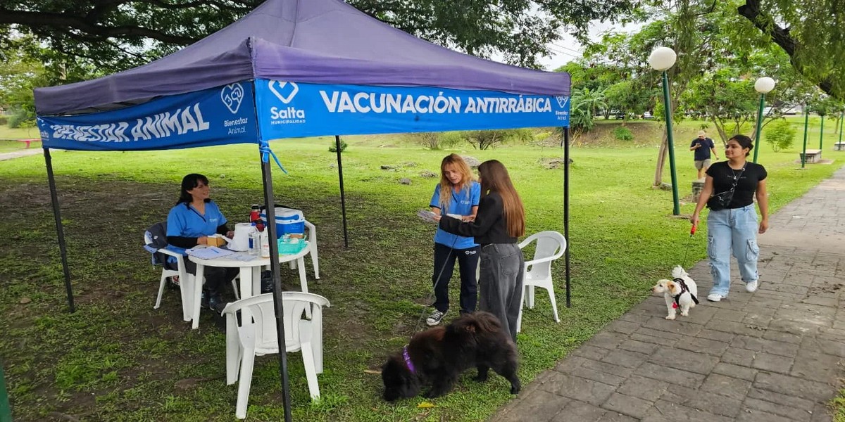 Municipalidad de Salta: Conoce el cronograma de vacunación antirrábica de la próxima semana