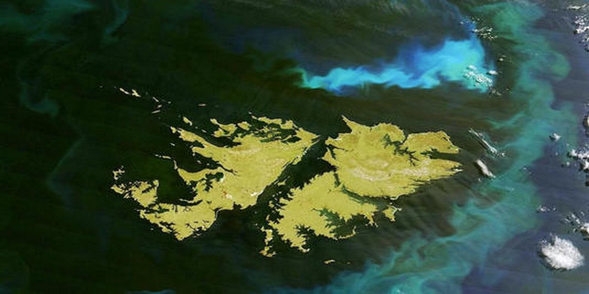 El hallazgo del siglo en las Islas Malvinas, que lo cambia todo!!! 