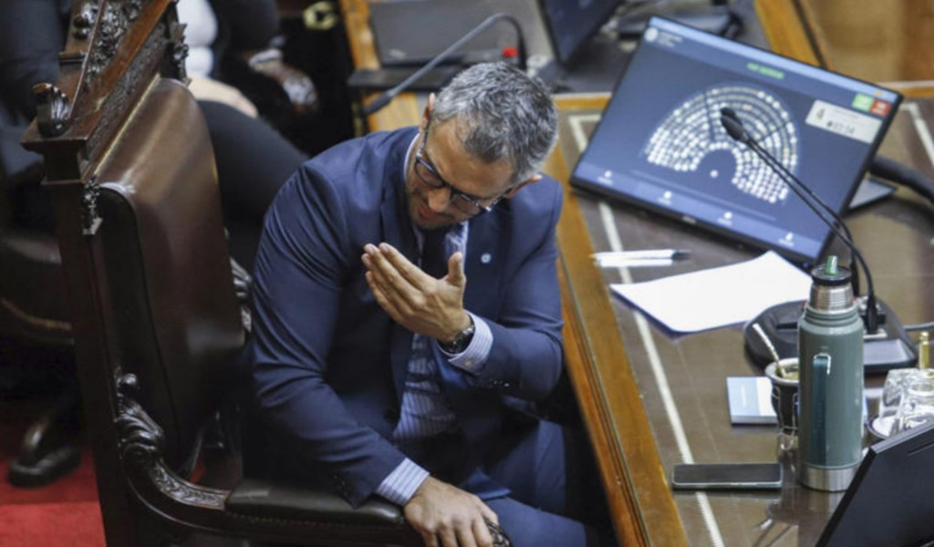 Para Martín Menem, el aumento jubilatorio y la emergencia en discapacidad son "estupideces"