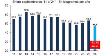 El precio de la carne se planchó, pero el consumo sigue cayendo por la pérdida de poder adquisitivo