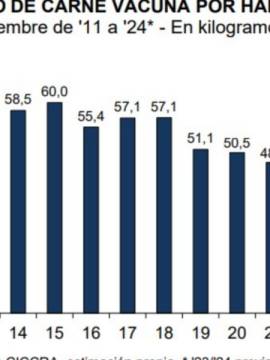 El precio de la carne se planchó, pero el consumo sigue cayendo por la pérdida de poder adquisitivo