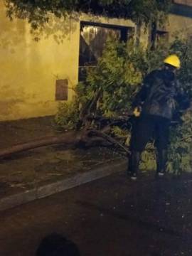 MUNICIPALIDAD DE SALTA: Asistiendo afectados por la tormenta