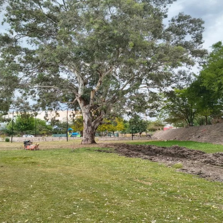 Municipalidad de salta: El Parque Los Sauces suma nuevo equipamiento, canchas deportivas y caminerías