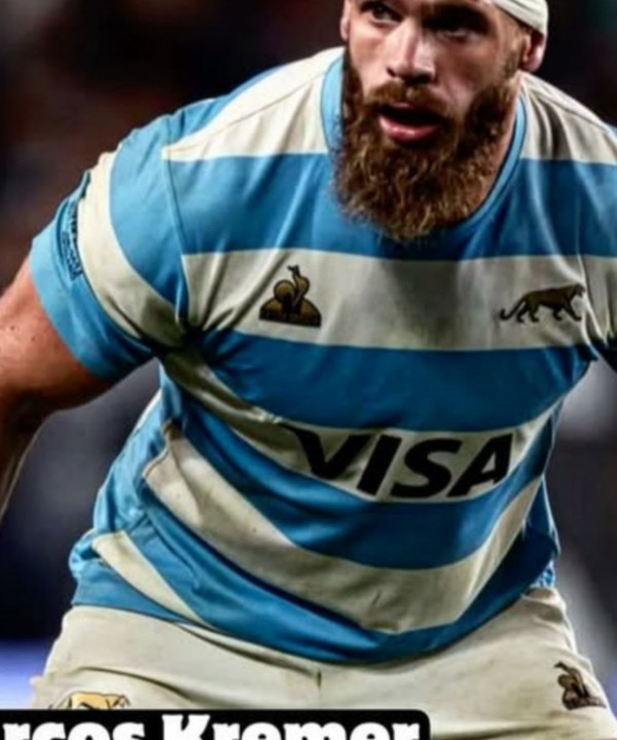 LOS PUMAS AL ACECHO ANTE LA NUEVA CONTIENDA FRENTE A NUEVA ZELANDA
